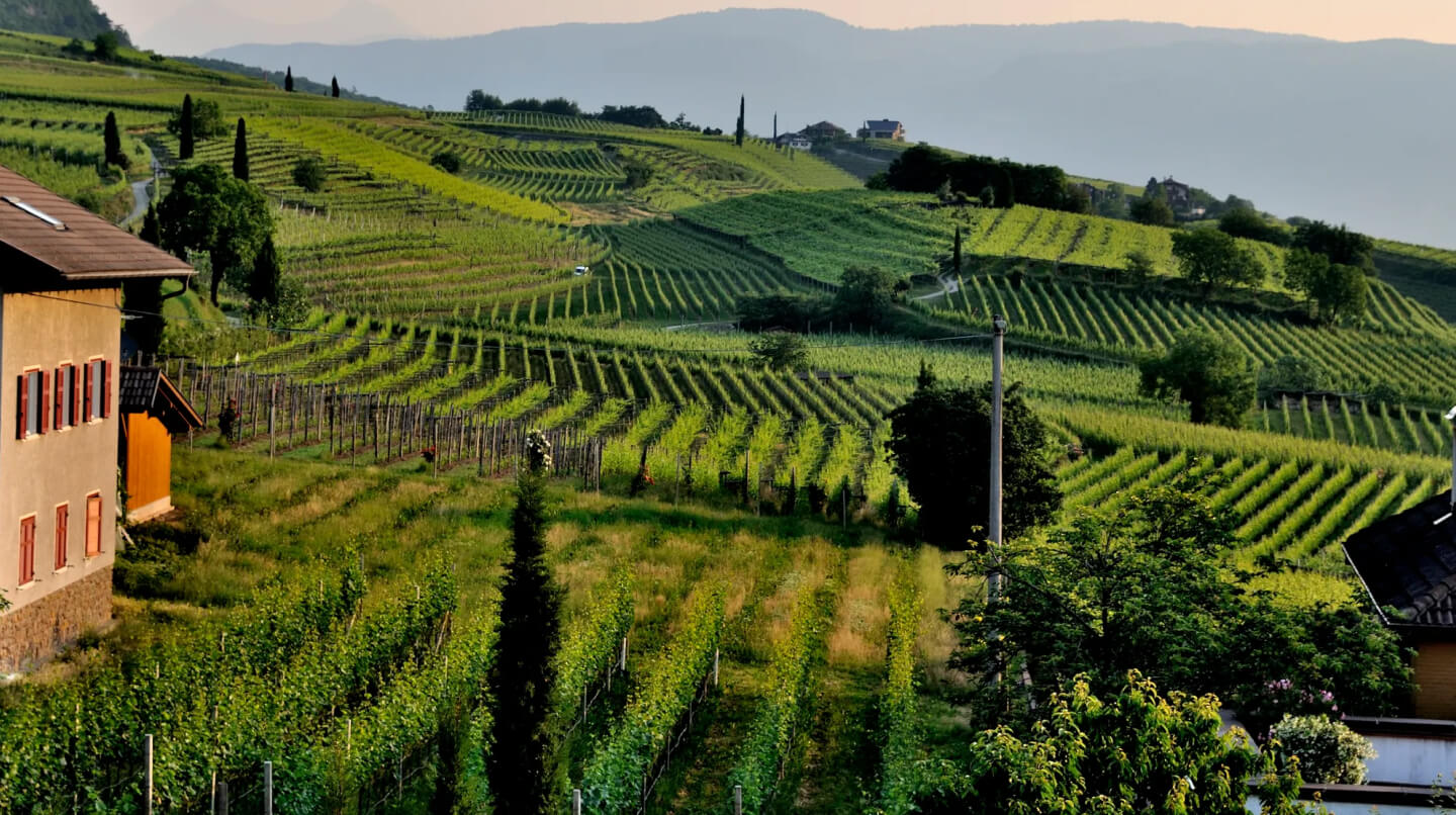 Organic Food Farm - Farm Webflow Template